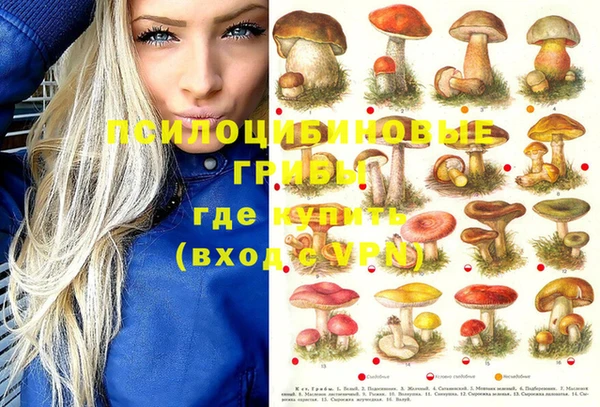 винт Вязники