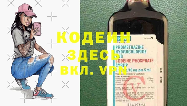 не бодяженный Вяземский